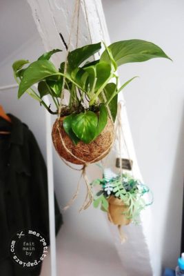 mes-petits-papiers -jolie-plante-papier-10