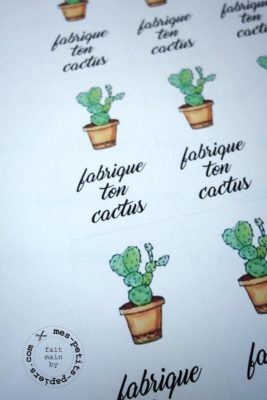 DIY atelier cactus de www.mes-petits-papiers.com