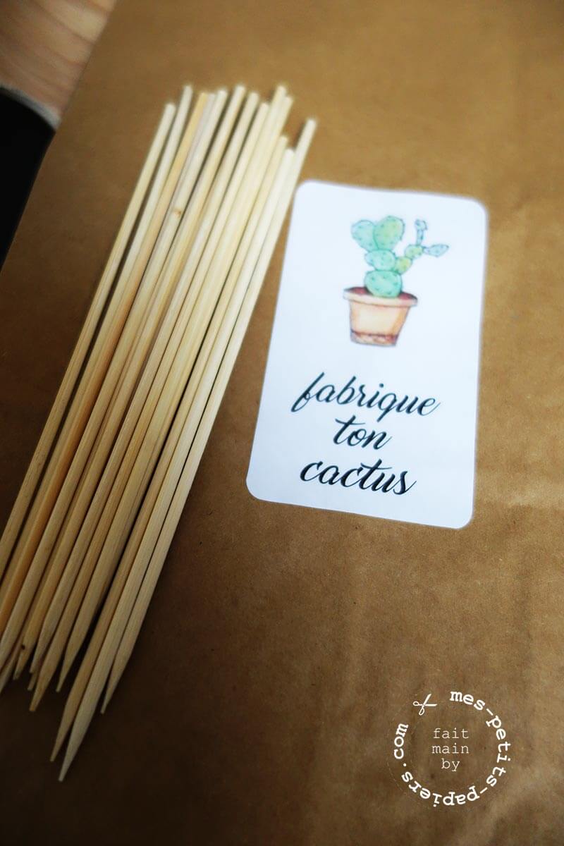 DIY atelier cactus de www.mes-petits-papiers.com