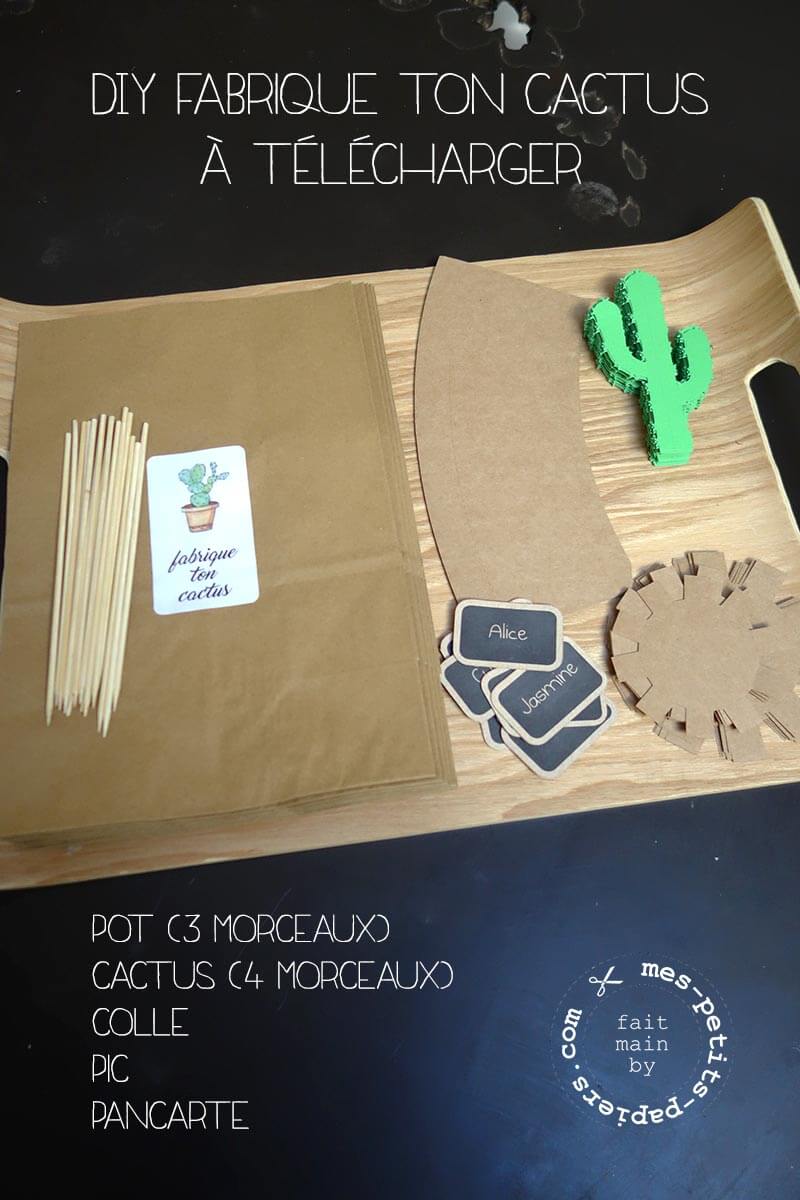 DIY atelier cactus de www.mes-petits-papiers.com