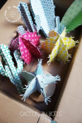 cactus party mes-petits-papiers.com