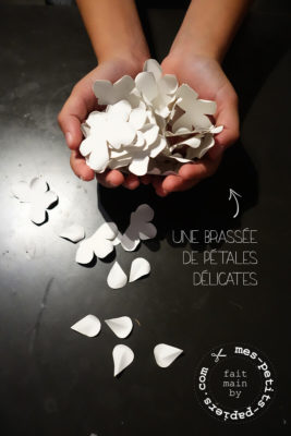 miniroses-4-mes-petits-papiers.com