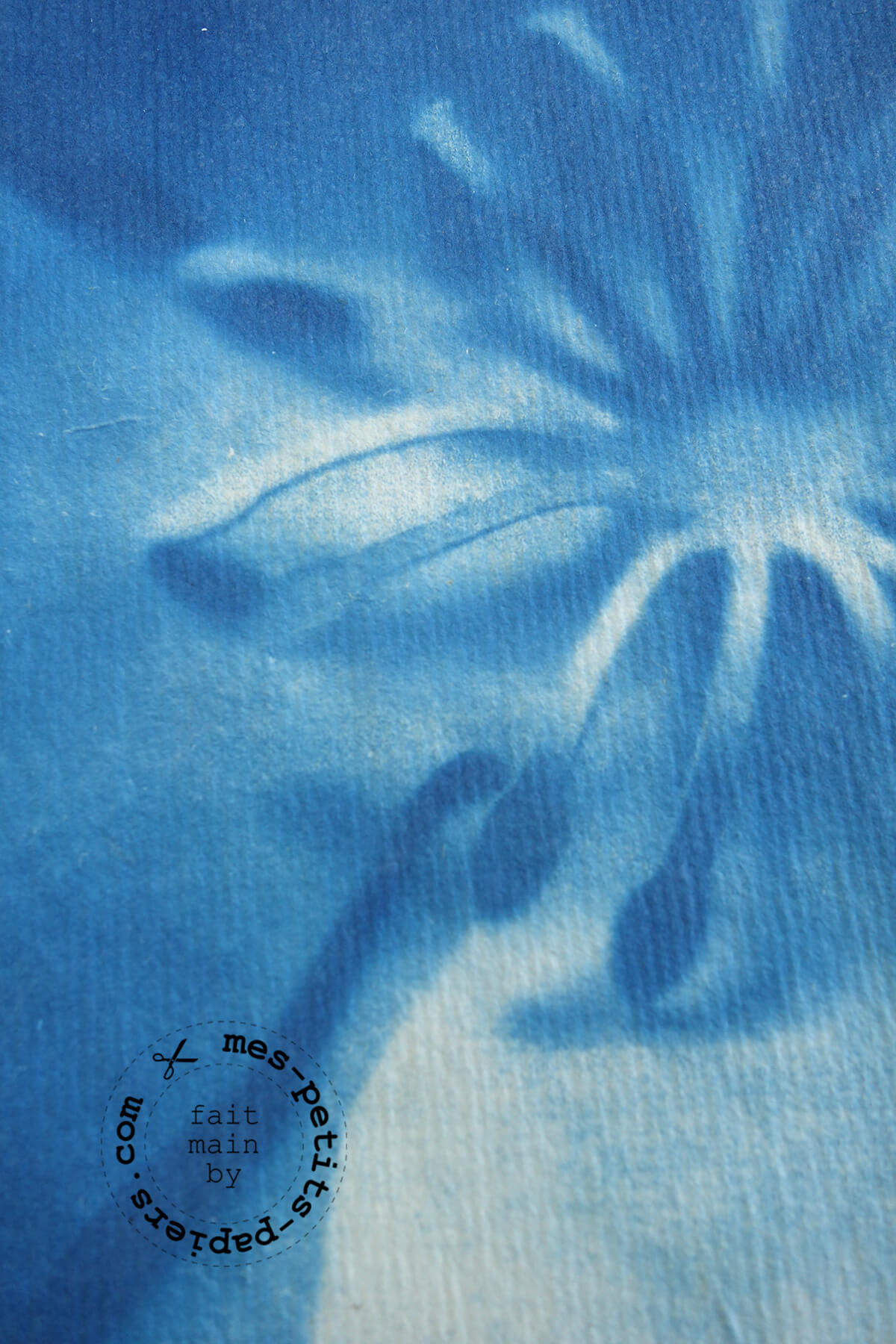 mes petits papiers - bleu soleil cyanotype 1