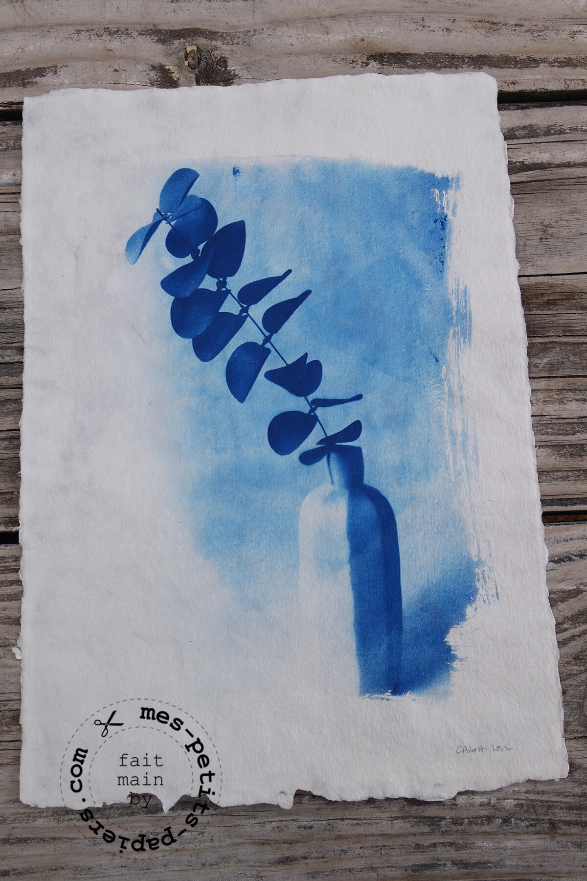 mes petits papiers - bleu soleil cyanotype 2