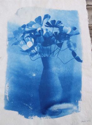 mes petits papiers - bleu soleil cyanotype 7