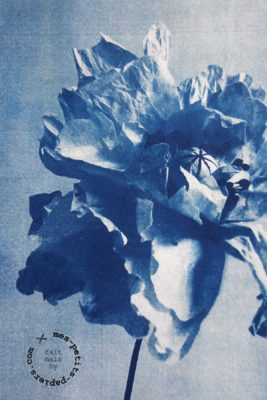 mes petits papiers - bleu soleil cyanotype 5
