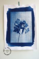 mes petits papiers - bleu soleil cyanotype 6