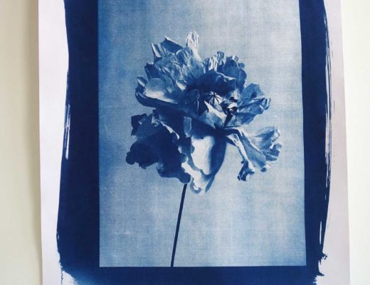 mes petits papiers - bleu soleil cyanotype 6