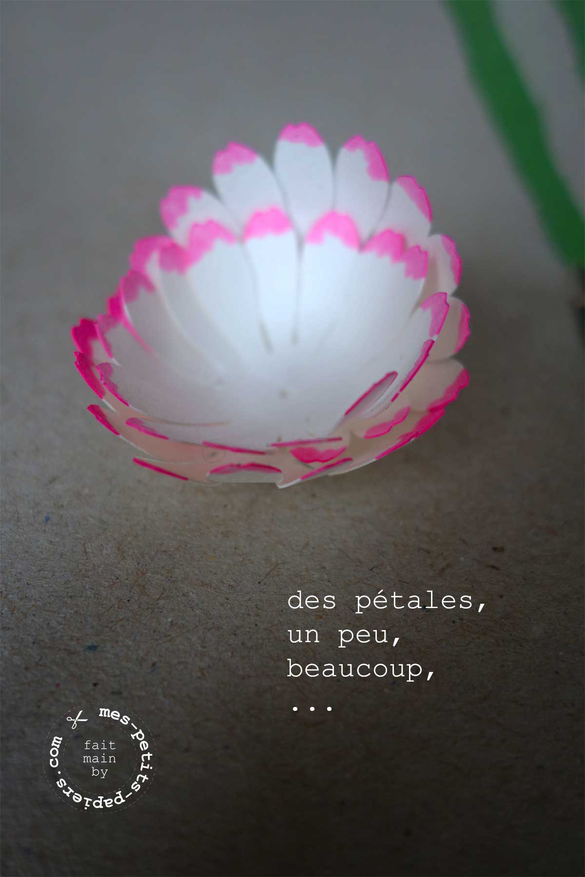 mes petits papiers - paquerettes de printemps en papier