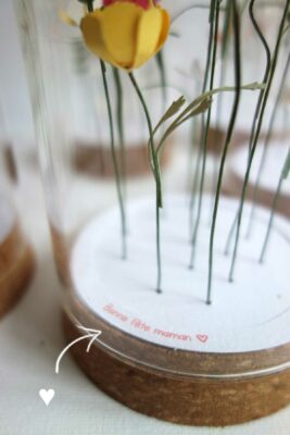 fleurs sous cloche mes petits papiers