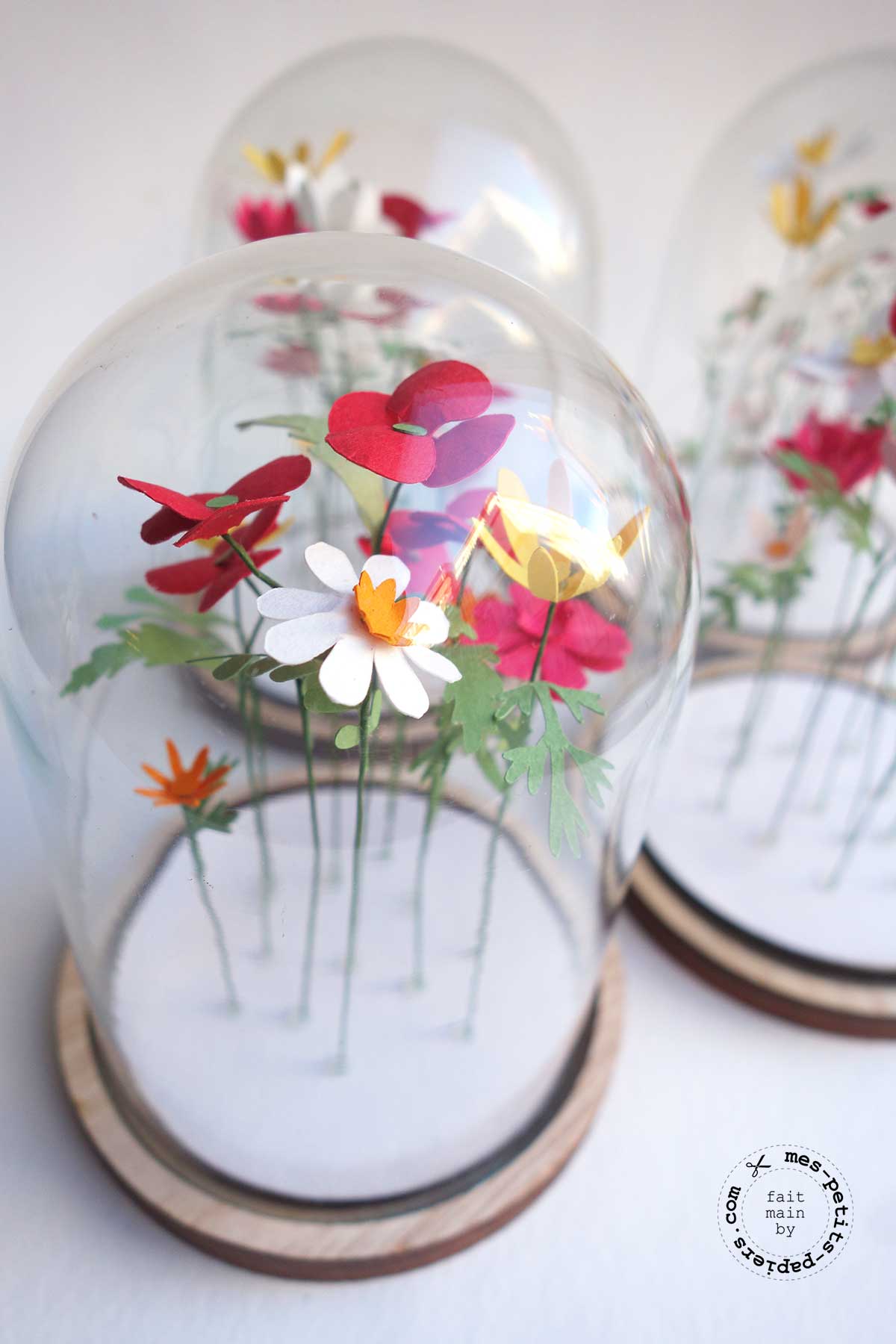 fleurs sous cloche mes petits papiers