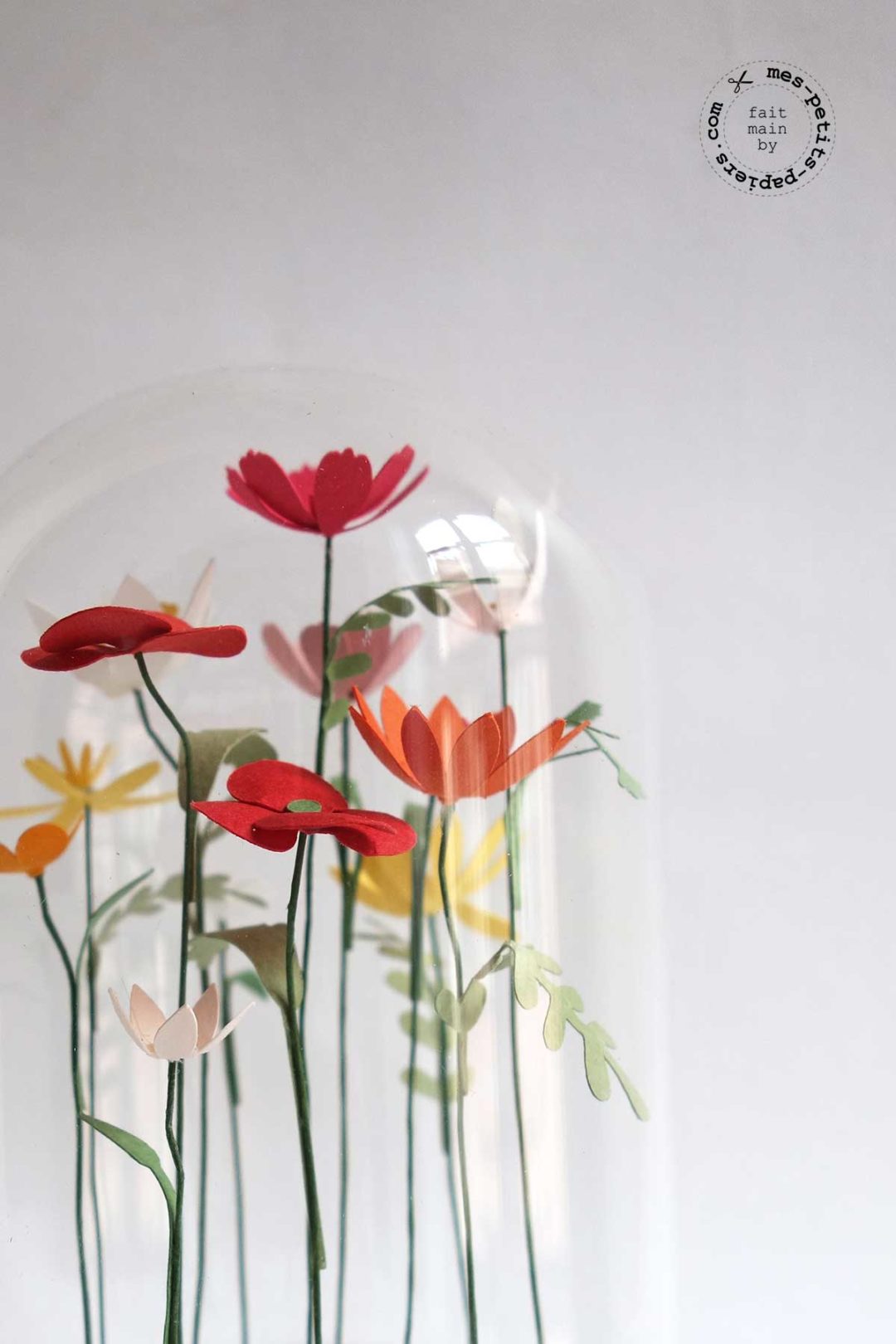 fleurs sous cloche mes petits papiers