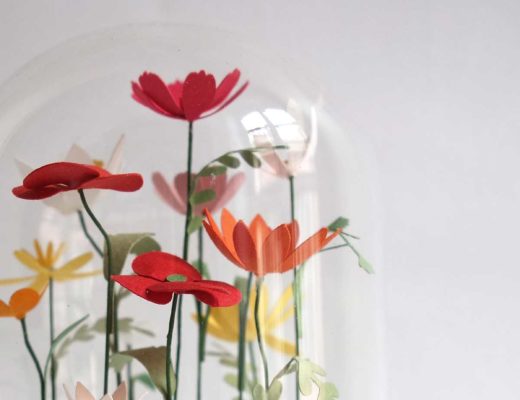 fleurs sous cloche mes petits papiers