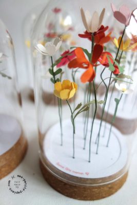 fleurs sous cloche mes petits papiers