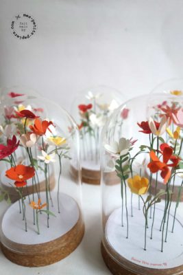 fleurs sous cloche mes petits papiers