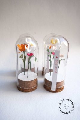 fleurs sous cloche mes petits papiers