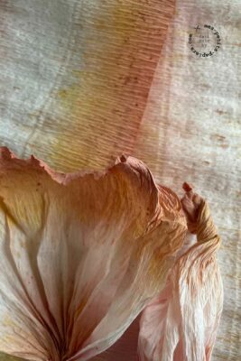 Fleurs en papier crépon créées par mes-petits-papiers.com, Caroline Houël