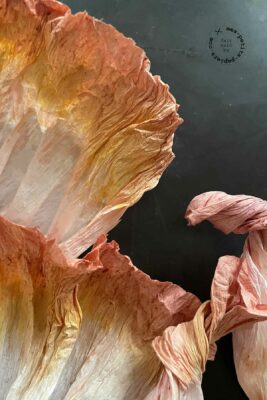 Fleurs en papier crépon créées par mes-petits-papiers.com, Caroline Houël