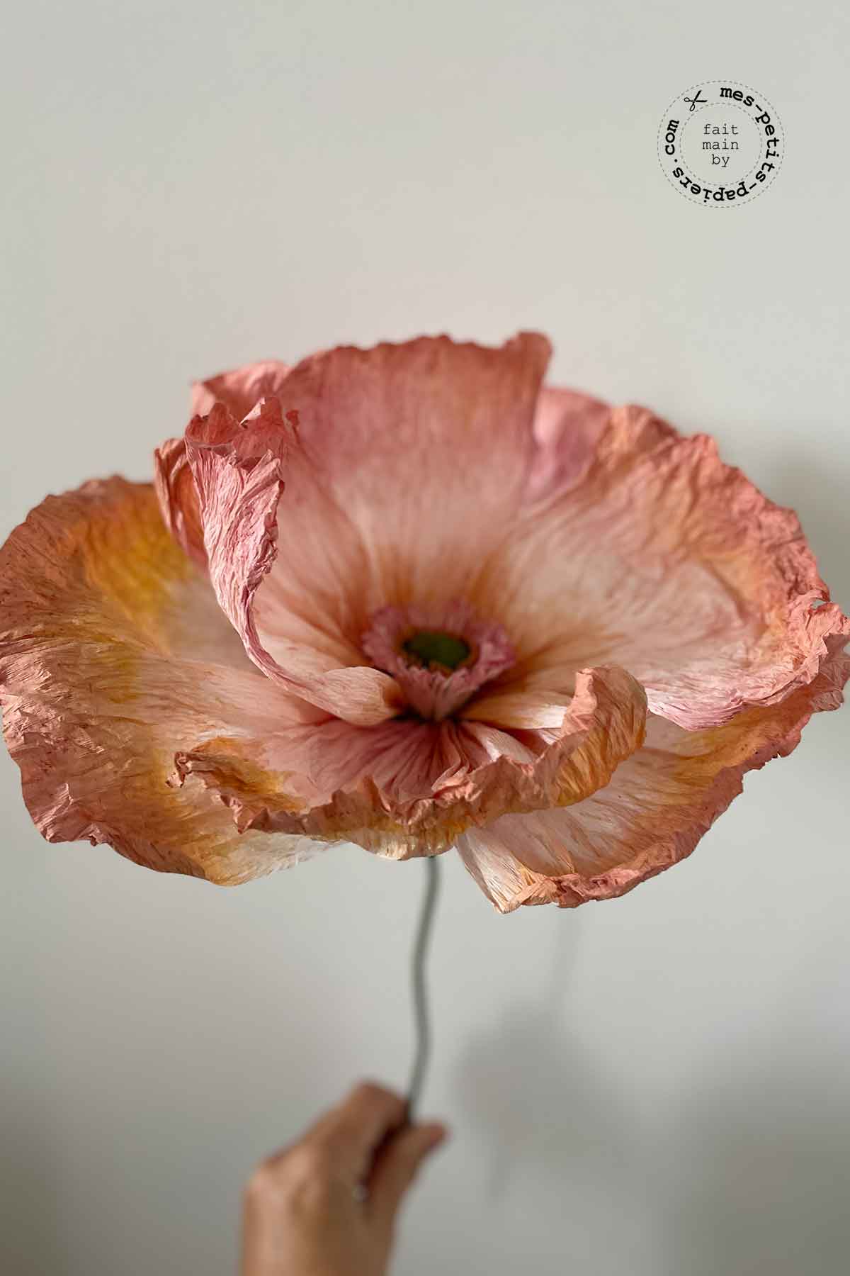 Fleurs en papier crépon créées par mes-petits-papiers.com, Caroline Houël