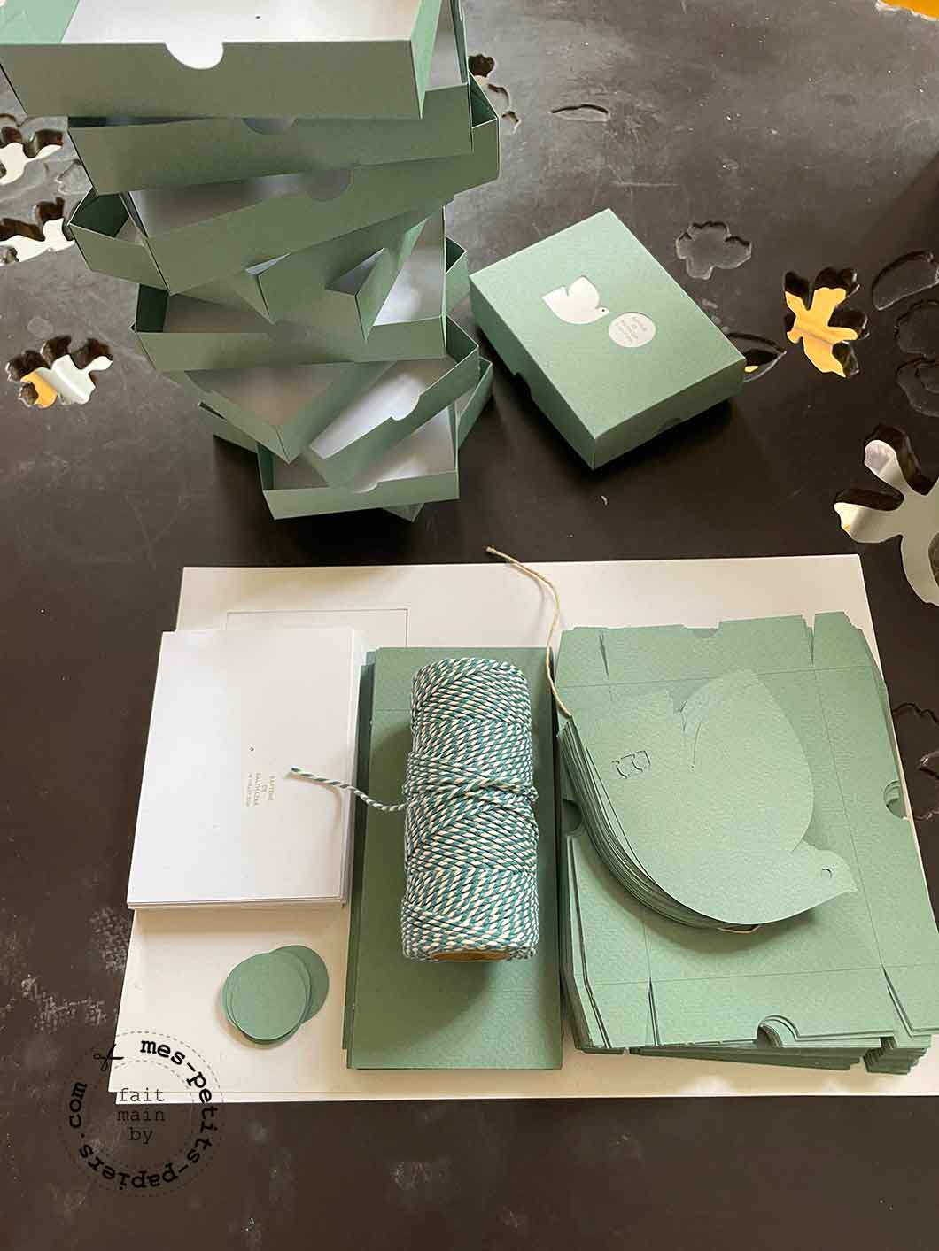 Bapteme Colombe Balthazar - mes petits papiers